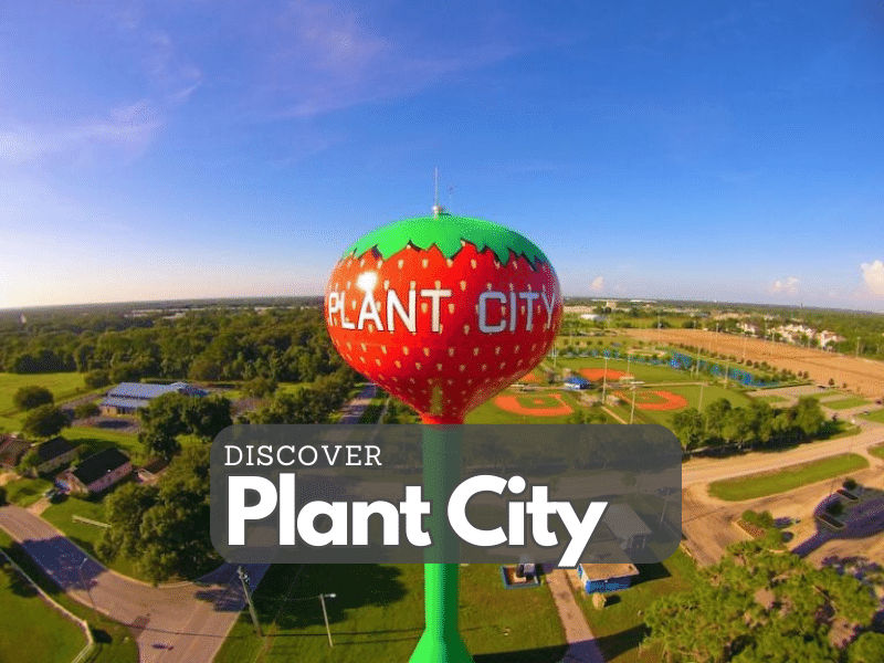 Plant City Florida homes