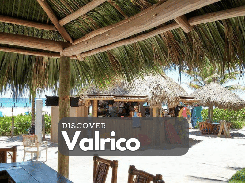 Valrico Florida homes